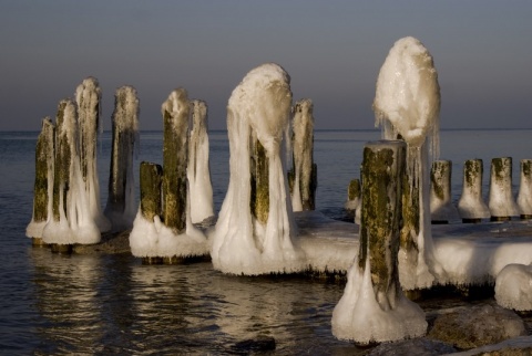 Kliknij na zdjęcie, żeby zobaczyć w pełnych wymiarach