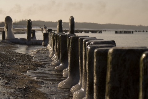 Kliknij na zdjęcie, żeby zobaczyć w pełnych wymiarach