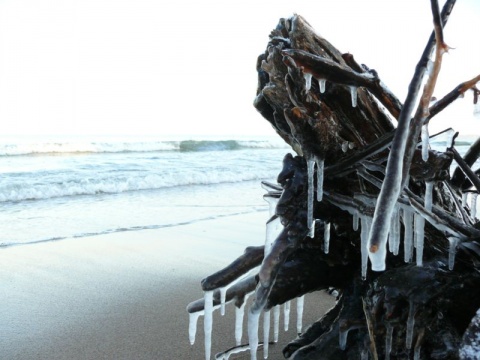 Kliknij na zdjęcie, żeby zobaczyć w pełnych wymiarach