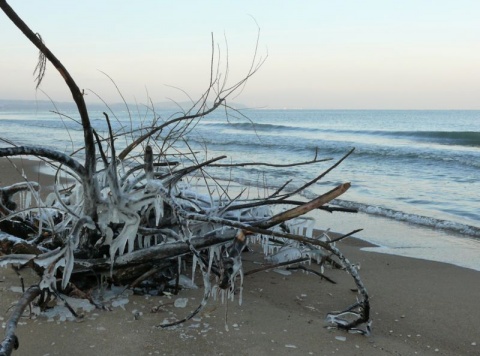 Kliknij na zdjęcie, żeby zobaczyć w pełnych wymiarach