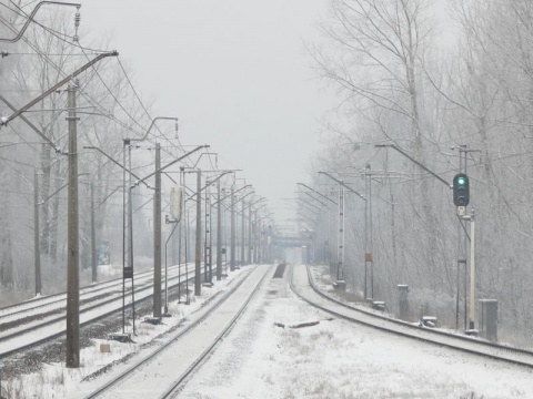 Kliknij na zdjęcie, żeby zobaczyć w pełnych wymiarach