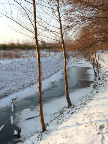 Kliknij na zdjęcie, żeby zobaczyć w pełnych wymiarach