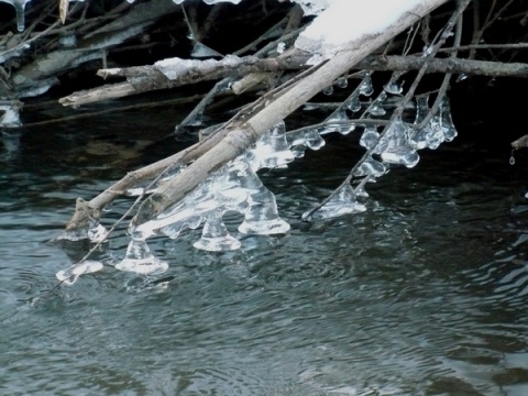 Kliknij na zdjęcie, żeby zobaczyć w pełnych wymiarach