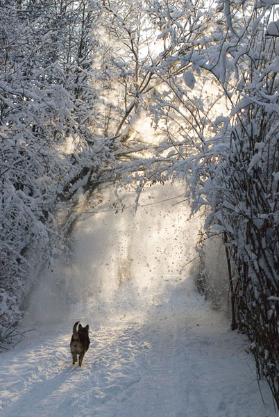 Kliknij na zdjęcie, żeby zobaczyć w pełnych wymiarach