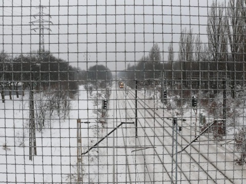 Kliknij na zdjęcie, żeby zobaczyć w pełnych wymiarach