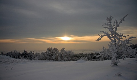 Kliknij na zdjęcie, żeby zobaczyć w pełnych wymiarach