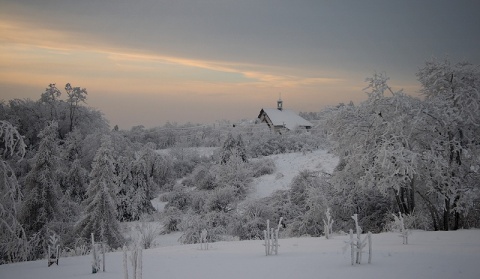 Kliknij na zdjęcie, żeby zobaczyć w pełnych wymiarach