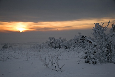 Kliknij na zdjęcie, żeby zobaczyć w pełnych wymiarach