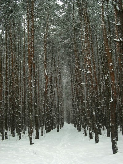 Kliknij na zdjęcie, żeby zobaczyć w pełnych wymiarach