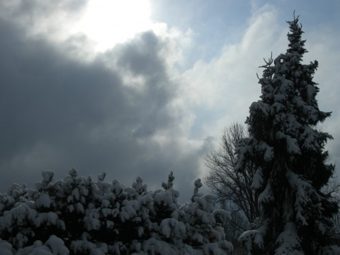Kliknij na zdjęcie, żeby zobaczyć w pełnych wymiarach