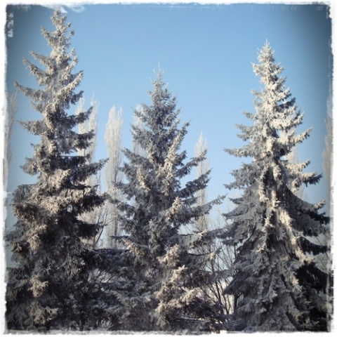 Kliknij na zdjęcie, żeby zobaczyć w pełnych wymiarach