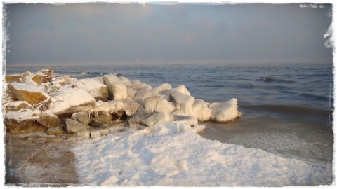 Kliknij na zdjęcie, żeby zobaczyć w pełnych wymiarach