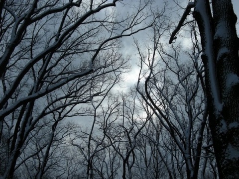 Kliknij na zdjęcie, żeby zobaczyć w pełnych wymiarach