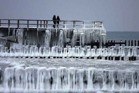 Kliknij na zdjęcie, żeby zobaczyć w pełnych wymiarach