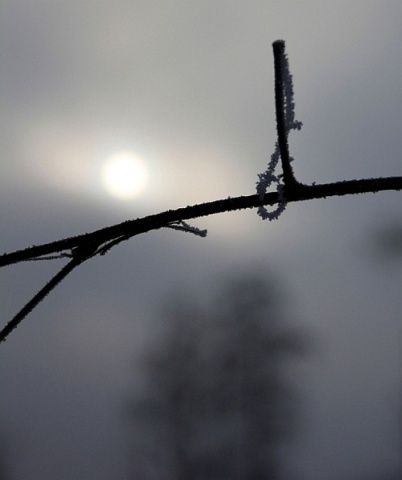 Kliknij na zdjęcie, żeby zobaczyć w pełnych wymiarach