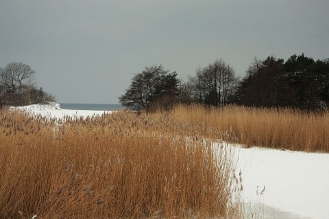 Kliknij na zdjęcie, żeby zobaczyć w pełnych wymiarach