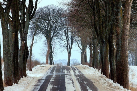 Kliknij na zdjęcie, żeby zobaczyć w pełnych wymiarach