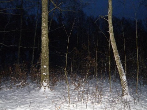 Kliknij na zdjęcie, żeby zobaczyć w pełnych wymiarach