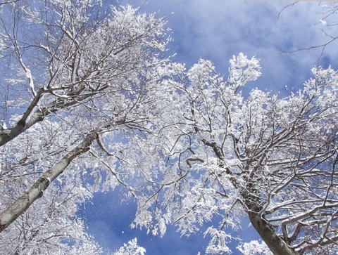 Kliknij na zdjęcie, żeby zobaczyć w pełnych wymiarach
