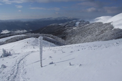 Kliknij na zdjęcie, żeby zobaczyć w pełnych wymiarach