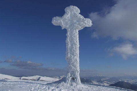 Kliknij na zdjęcie, żeby zobaczyć w pełnych wymiarach