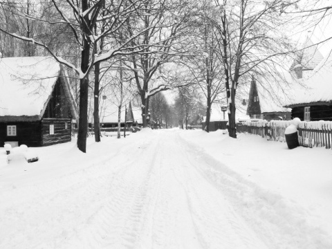 Kliknij na zdjęcie, żeby zobaczyć w pełnych wymiarach