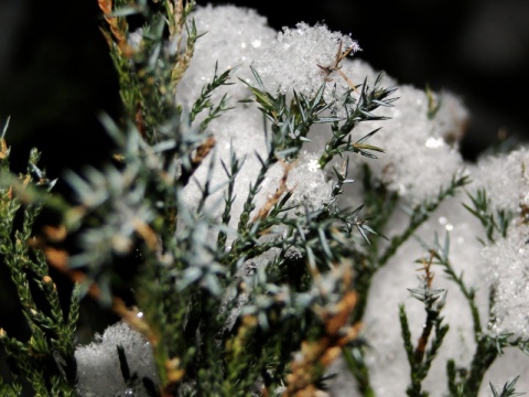 Kliknij na zdjęcie, żeby zobaczyć w pełnych wymiarach