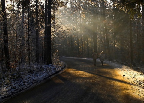 Kliknij na zdjęcie, żeby zobaczyć w pełnych wymiarach