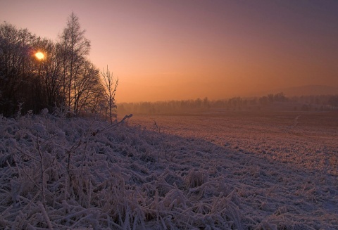 Kliknij na zdjęcie, żeby zobaczyć w pełnych wymiarach