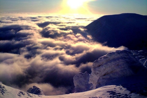 Kliknij na zdjęcie, żeby zobaczyć w pełnych wymiarach