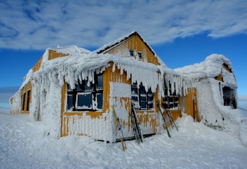 Kliknij na zdjęcie, żeby zobaczyć w pełnych wymiarach