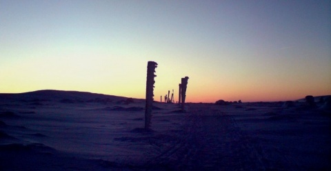 Kliknij na zdjęcie, żeby zobaczyć w pełnych wymiarach