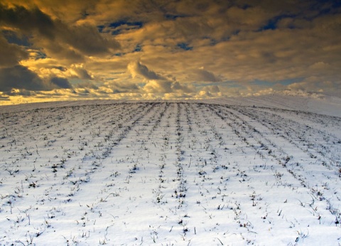 Kliknij na zdjęcie, żeby zobaczyć w pełnych wymiarach