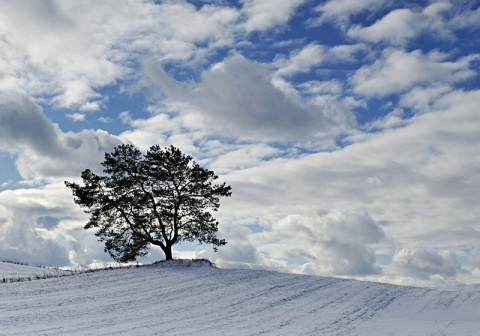 Kliknij na zdjęcie, żeby zobaczyć w pełnych wymiarach