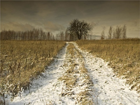 Kliknij na zdjęcie, żeby zobaczyć w pełnych wymiarach