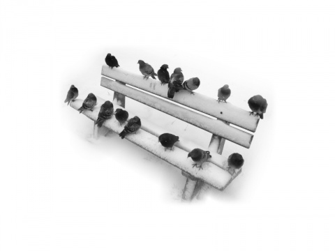 Kliknij na zdjęcie, żeby zobaczyć w pełnych wymiarach