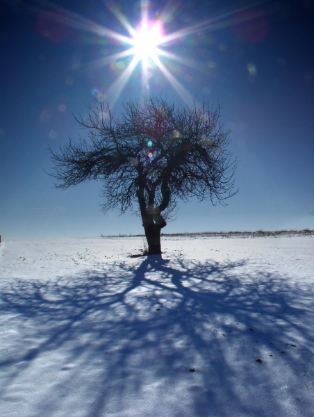 Kliknij na zdjęcie, żeby zobaczyć w pełnych wymiarach