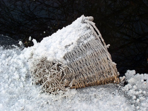 Kliknij na zdjęcie, żeby zobaczyć w pełnych wymiarach