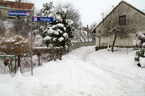 Kliknij na zdjęcie, żeby zobaczyć w pełnych wymiarach