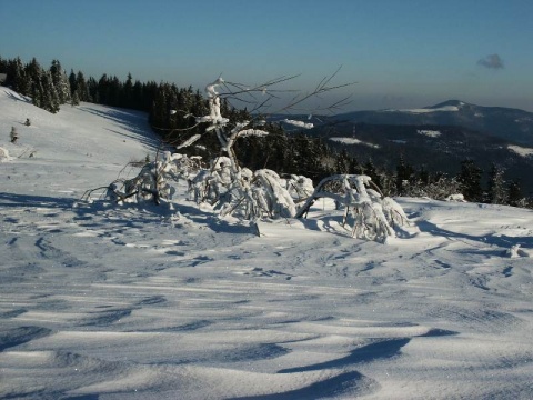 Kliknij na zdjęcie, żeby zobaczyć w pełnych wymiarach