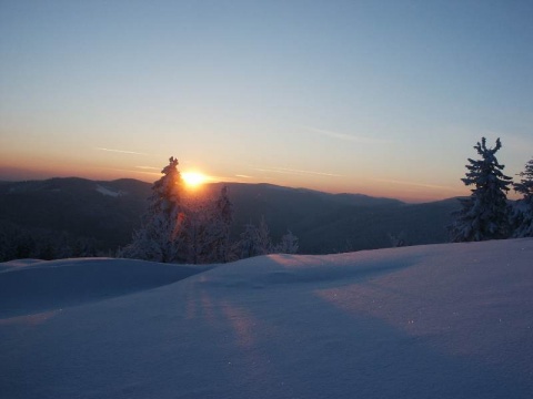 Kliknij na zdjęcie, żeby zobaczyć w pełnych wymiarach