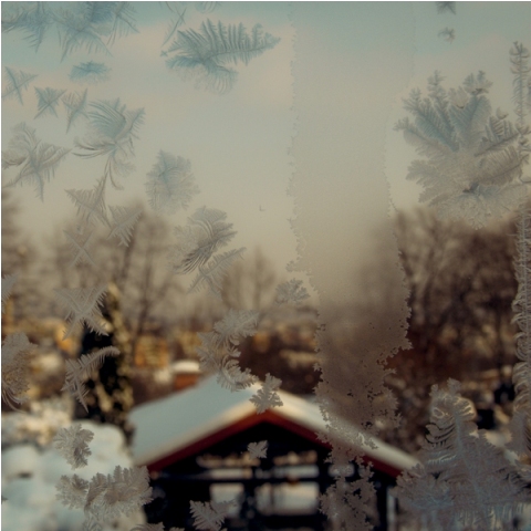 Kliknij na zdjęcie, żeby zobaczyć w pełnych wymiarach