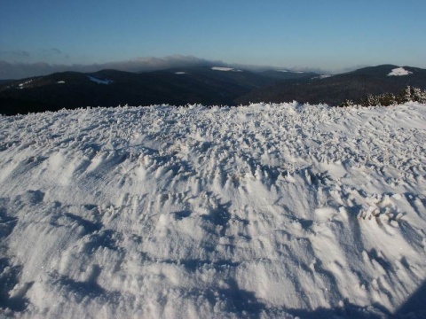 Kliknij na zdjęcie, żeby zobaczyć w pełnych wymiarach