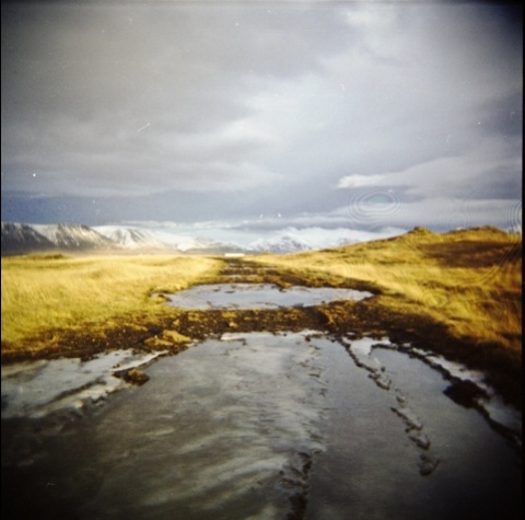 Kliknij na zdjęcie, żeby zobaczyć w pełnych wymiarach