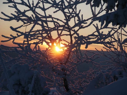 Kliknij na zdjęcie, żeby zobaczyć w pełnych wymiarach