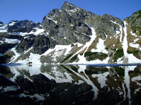 Kliknij na zdjęcie, żeby zobaczyć w pełnych wymiarach