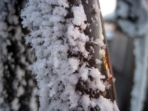 Kliknij na zdjęcie, żeby zobaczyć w pełnych wymiarach