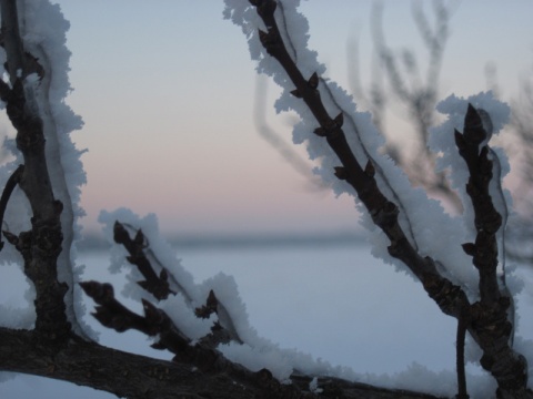 Kliknij na zdjęcie, żeby zobaczyć w pełnych wymiarach