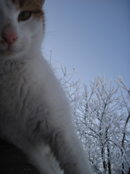 Kliknij na zdjęcie, żeby zobaczyć w pełnych wymiarach