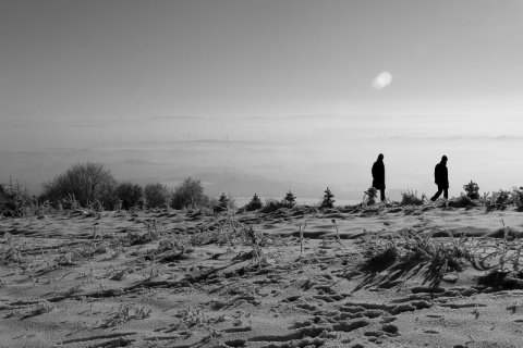 Kliknij na zdjęcie, żeby zobaczyć w pełnych wymiarach